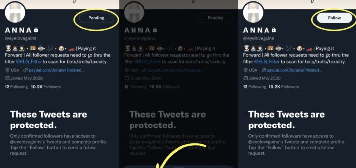 How to Undo Follower Request